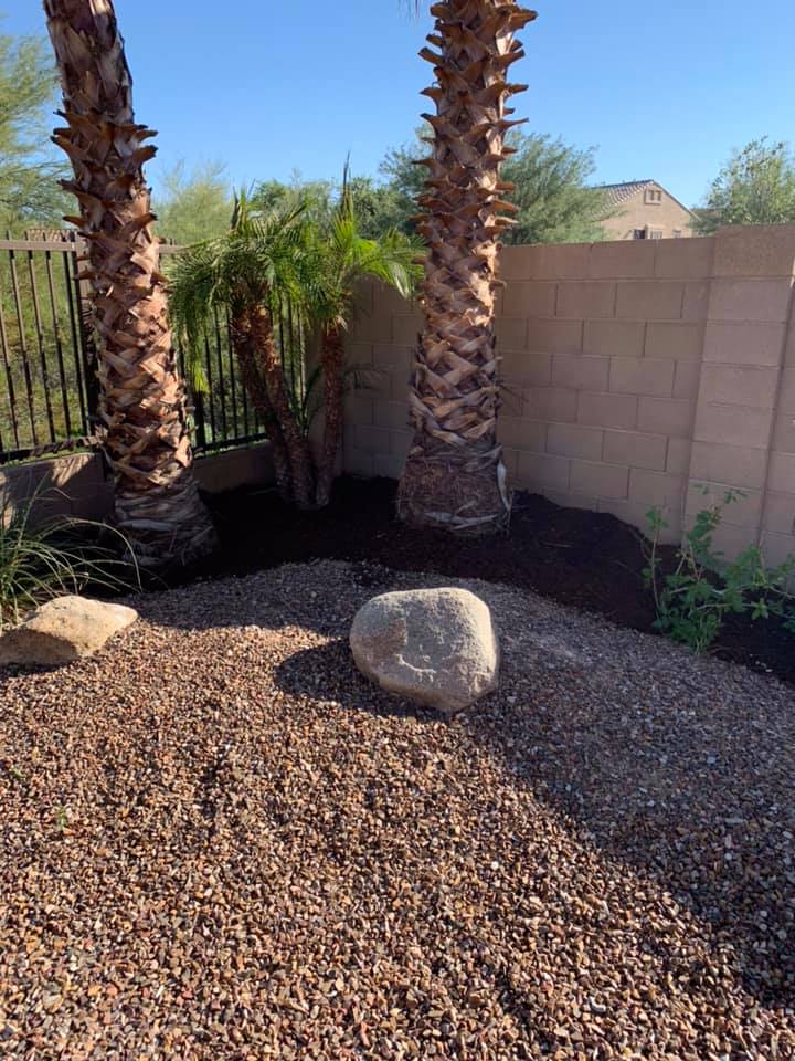 Desert landscape with two palm trees, a large rock, gravel ground, and a stucco wall in the background