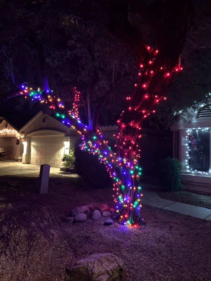 Tree wrapped in multicolored holiday lights in a front yard at night